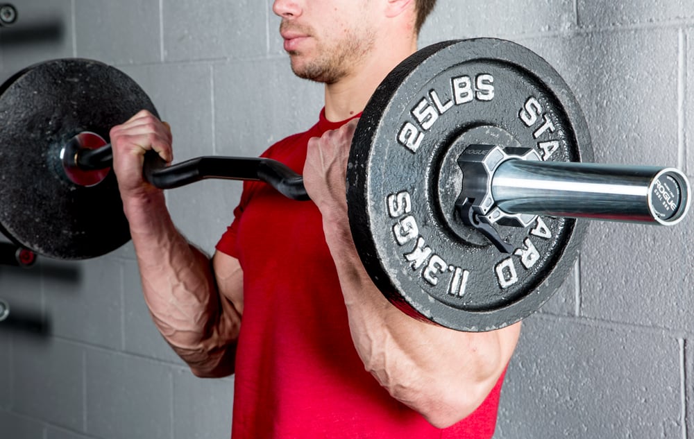 Rogue fitness arm blaster store